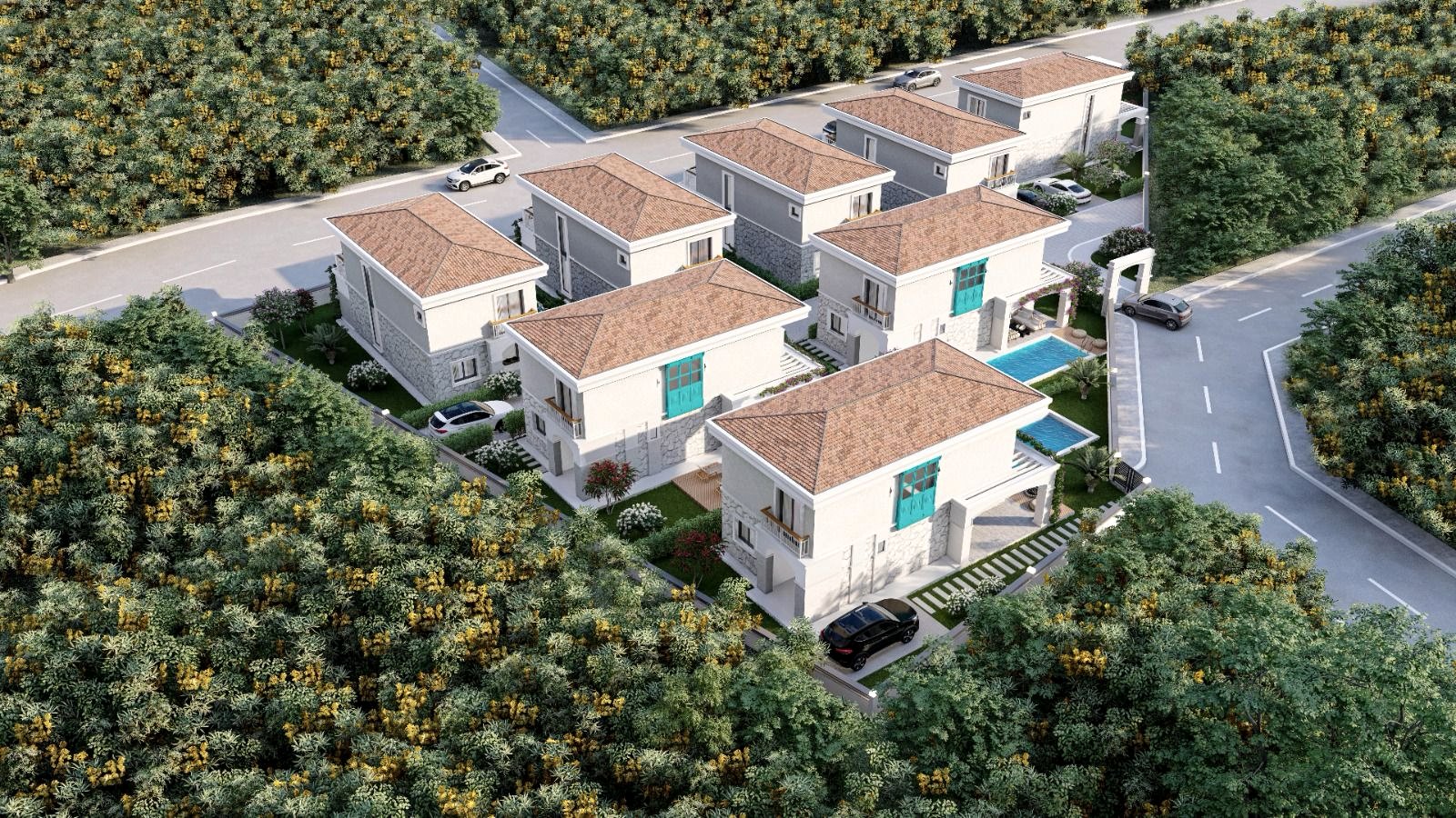 WhatsApp Image 2024-03-05 at 11.35.52 (1)